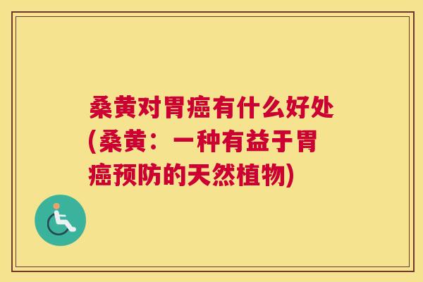 桑黄对胃有什么好处(桑黄:一种有益于胃的天然植物) 桑黄对胃有什么好处(桑黄:一种有益于胃的天然植物)