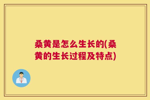 桑黄是怎么生长的(桑黄的生长过程及特点) 桑黄是怎么生长的(桑黄的生长过程及特点)