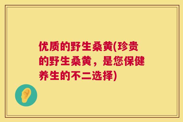 优质的野生桑黄(珍贵的野生桑黄,是您保健养生的不二选择) 优质的野生桑黄(珍贵的野生桑黄,是您保健养生的不二选择)