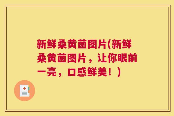 新鲜桑黄菌图片(新鲜桑黄菌图片,让你眼前一亮,口感鲜美!) 新鲜桑黄菌图片(新鲜桑黄菌图片,让你眼前一亮,口感鲜美!)