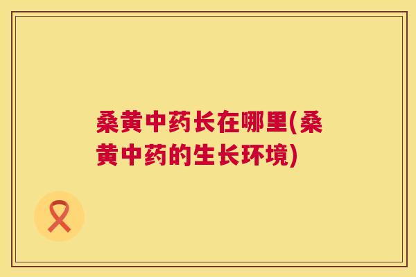 桑黄长在哪里(桑黄的生长环境) 桑黄长在哪里(桑黄的生长环境)