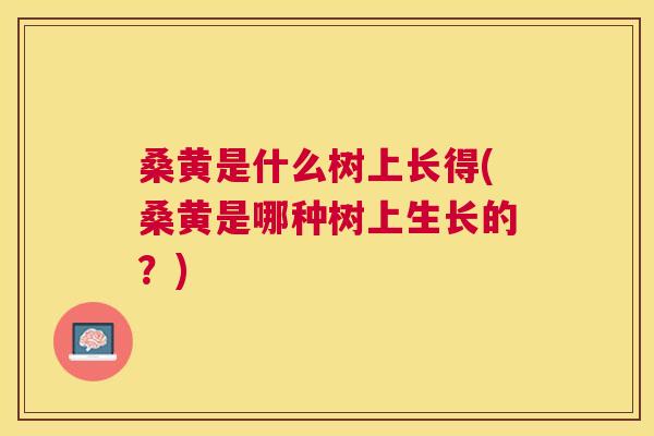 桑黄是什么树上长得(桑黄是哪种树上生长的?) 桑黄是什么树上长得(桑黄是哪种树上生长的?)
