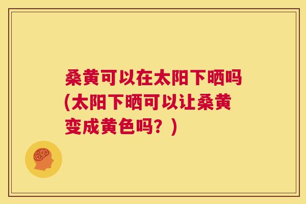 桑黄可以在太阳下晒吗(太阳下晒可以让桑黄变成黄色吗?) 桑黄可以在太阳下晒吗(太阳下晒可以让桑黄变成黄色吗?)