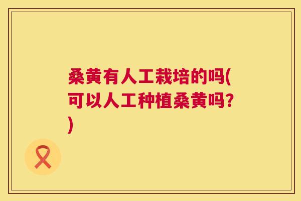 桑黄有人工栽培的吗(可以人工种植桑黄吗?) 桑黄有人工栽培的吗(可以人工种植桑黄吗?)