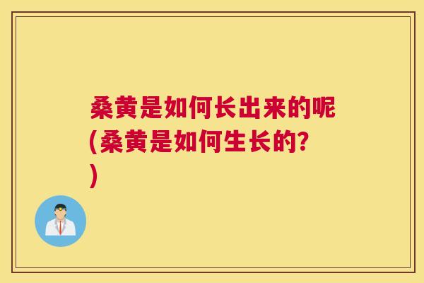桑黄是如何长出来的呢(桑黄是如何生长的？)