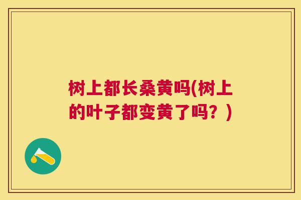 树上都长桑黄吗(树上的叶子都变黄了吗?) 树上都长桑黄吗(树上的叶子都变黄了吗?)