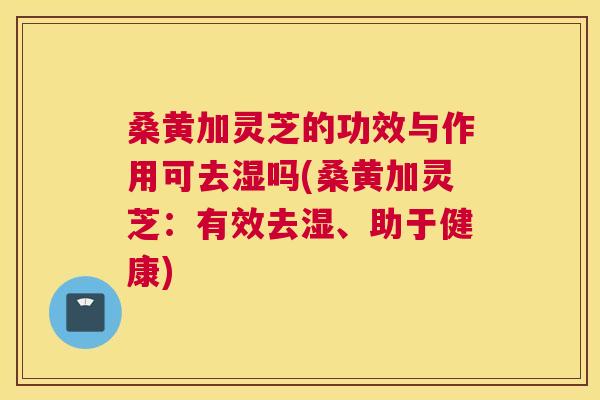 桑黄加灵芝的功效与作用可去湿吗(桑黄加灵芝:有效去湿、助于健康) 桑黄加灵芝的功效与作用可去湿吗(桑黄加灵芝:有效去湿、助于健康)