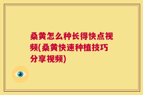 桑黄怎么种长得快点视频(桑黄快速种植技巧分享视频) 桑黄怎么种长得快点视频(桑黄快速种植技巧分享视频)