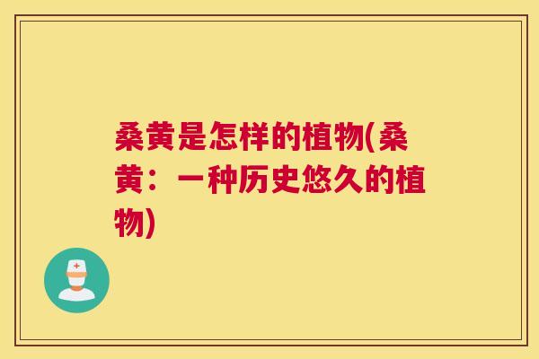 桑黄是怎样的植物(桑黄:一种历史悠久的植物) 桑黄是怎样的植物(桑黄:一种历史悠久的植物)