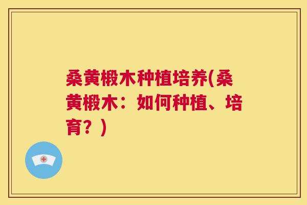 桑黄椴木种植培养(桑黄椴木:如何种植、培育?) 桑黄椴木种植培养(桑黄椴木:如何种植、培育?)
