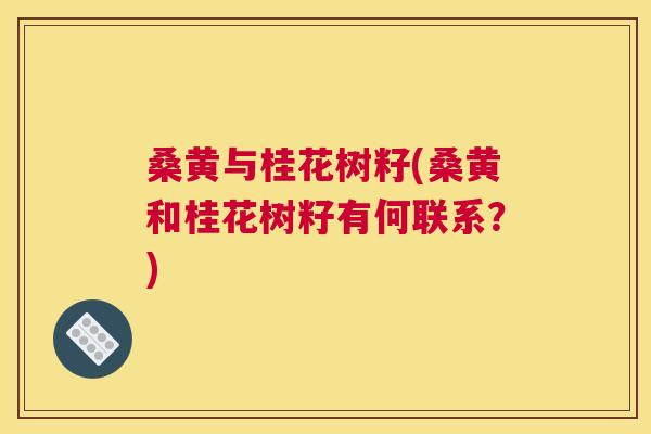 桑黄与桂花树籽(桑黄和桂花树籽有何联系?) 桑黄与桂花树籽(桑黄和桂花树籽有何联系?)