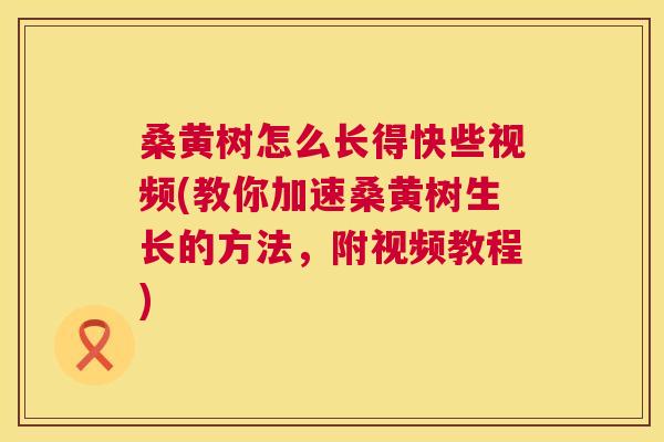 桑黄树怎么长得快些视频(教你加速桑黄树生长的方法,附视频教程) 桑黄树怎么长得快些视频(教你加速桑黄树生长的方法,附视频教程)