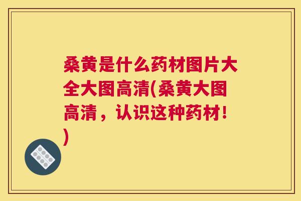 桑黄是什么药材图片大全大图高清(桑黄大图高清，认识这种药材！)