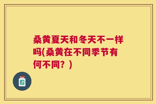 桑黄夏天和冬天不一样吗(桑黄在不同季节有何不同?) 桑黄夏天和冬天不一样吗(桑黄在不同季节有何不同?)