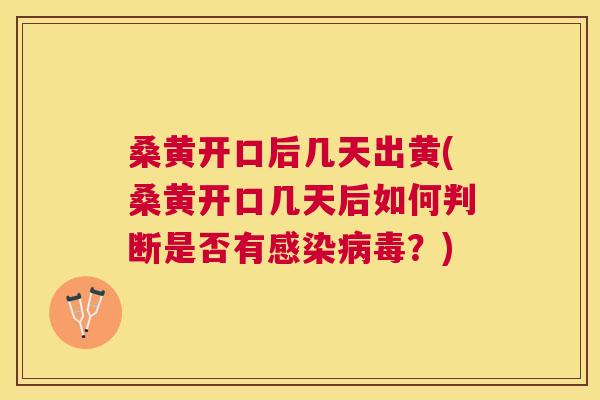 桑黄开口后几天出黄(桑黄开口几天后如何判断是否有?) 桑黄开口后几天出黄(桑黄开口几天后如何判断是否有?)