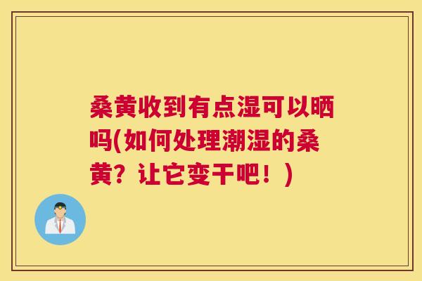 桑黄收到有点湿可以晒吗(如何处理潮湿的桑黄?让它变干吧!) 桑黄收到有点湿可以晒吗(如何处理潮湿的桑黄?让它变干吧!)