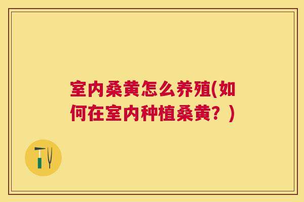 室内桑黄怎么养殖(如何在室内种植桑黄?) 室内桑黄怎么养殖(如何在室内种植桑黄?)