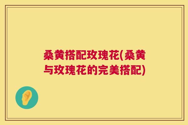 桑黄搭配玫瑰花(桑黄与玫瑰花的完美搭配) 桑黄搭配玫瑰花(桑黄与玫瑰花的完美搭配)