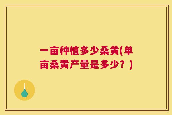 一亩种植多少桑黄(单亩桑黄产量是多少?) 一亩种植多少桑黄(单亩桑黄产量是多少?)