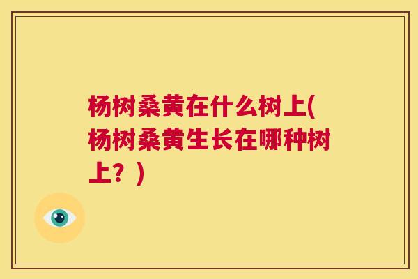 杨树桑黄在什么树上(杨树桑黄生长在哪种树上?) 杨树桑黄在什么树上(杨树桑黄生长在哪种树上?)