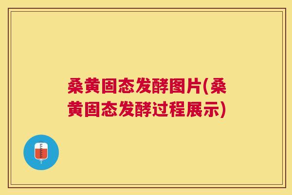 桑黄固态发酵图片(桑黄固态发酵过程展示) 桑黄固态发酵图片(桑黄固态发酵过程展示)