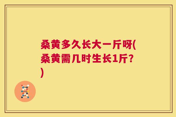 桑黄多久长大一斤呀(桑黄需几时生长1斤?) 桑黄多久长大一斤呀(桑黄需几时生长1斤?)