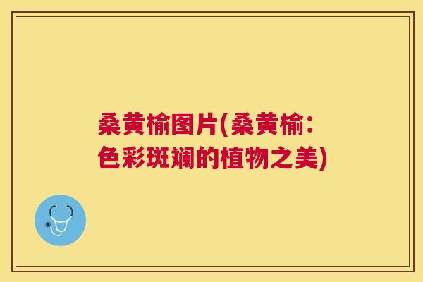 桑黄榆图片(桑黄榆:色彩斑斓的植物之美) 桑黄榆图片(桑黄榆:色彩斑斓的植物之美)