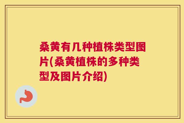 桑黄有几种植株类型图片(桑黄植株的多种类型及图片介绍) 桑黄有几种植株类型图片(桑黄植株的多种类型及图片介绍)