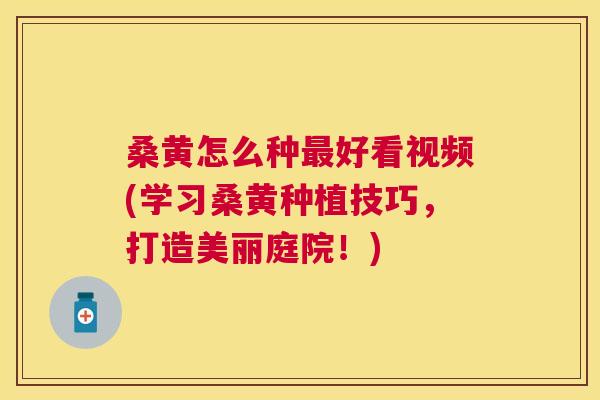 桑黄怎么种好看视频(学习桑黄种植技巧，打造美丽庭院！)