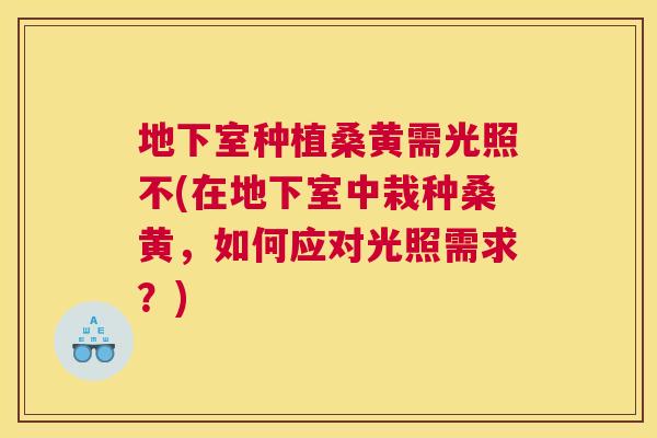地下室种植桑黄需光照不(在地下室中栽种桑黄,如何应对光照需求?) 地下室种植桑黄需光照不(在地下室中栽种桑黄,如何应对光照需求?)