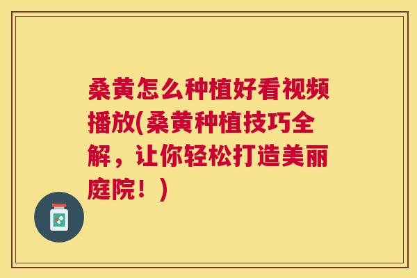 桑黄怎么种植好看视频播放(桑黄种植技巧全解,让你轻松打造美丽庭院!) 桑黄怎么种植好看视频播放(桑黄种植技巧全解,让你轻松打造美丽庭院!)