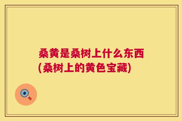 桑黄是桑树上什么东西(桑树上的黄色宝藏) 桑黄是桑树上什么东西(桑树上的黄色宝藏)