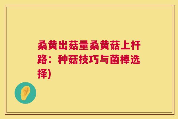 桑黄出菇量桑黄菇上杆路:种菇技巧与菌棒选择) 桑黄出菇量桑黄菇上杆路:种菇技巧与菌棒选择)