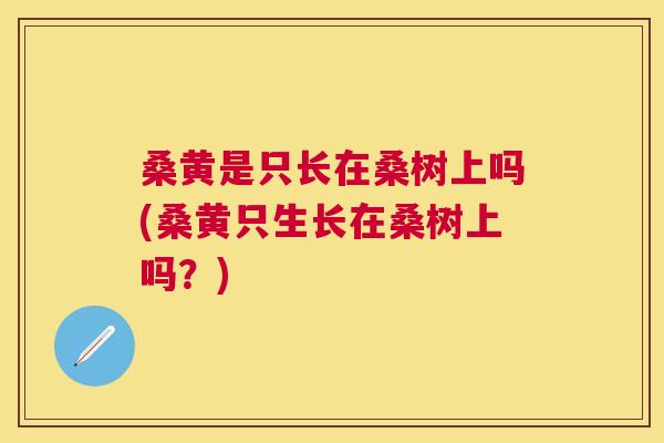 桑黄是只长在桑树上吗(桑黄只生长在桑树上吗?) 桑黄是只长在桑树上吗(桑黄只生长在桑树上吗?)