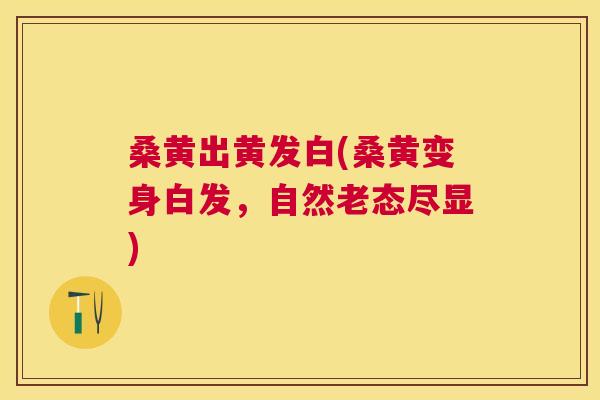 桑黄出黄发白(桑黄变身白发,自然老态尽显) 桑黄出黄发白(桑黄变身白发,自然老态尽显)