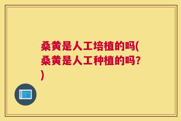 桑黄是人工培植的吗(桑黄是人工种植的吗?) 桑黄是人工培植的吗(桑黄是人工种植的吗?)