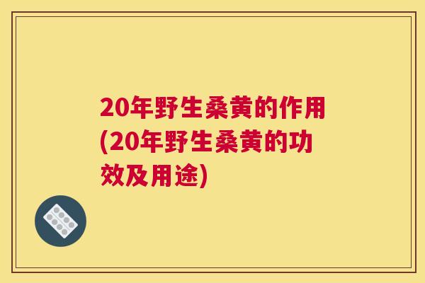 20年野生桑黄的作用(20年野生桑黄的功效及用途)