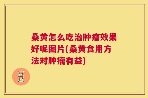桑黄怎么吃效果好呢图片(桑黄食用方法对有益) 桑黄怎么吃效果好呢图片(桑黄食用方法对有益)