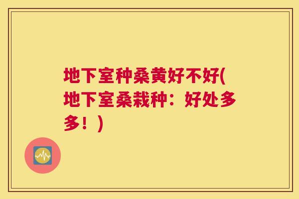 地下室种桑黄好不好(地下室桑栽种:好处多多!) 地下室种桑黄好不好(地下室桑栽种:好处多多!)