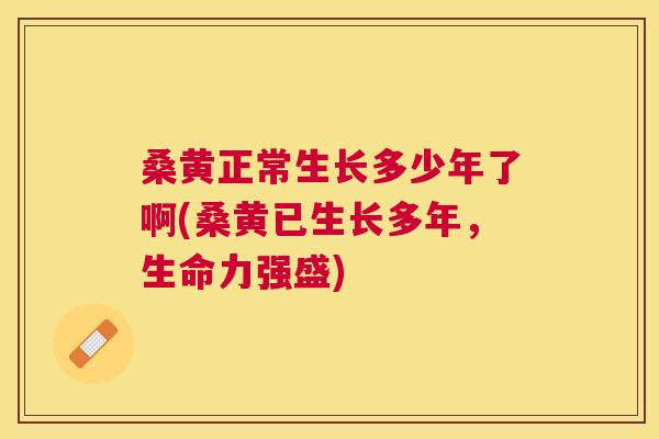 桑黄正常生长多少年了啊(桑黄已生长多年,生命力强盛) 桑黄正常生长多少年了啊(桑黄已生长多年,生命力强盛)