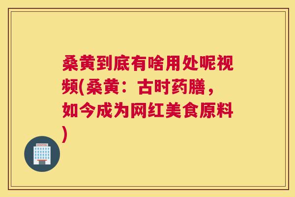 桑黄到底有啥用处呢视频(桑黄:古时药膳,如今成为网红美食原料) 桑黄到底有啥用处呢视频(桑黄:古时药膳,如今成为网红美食原料)