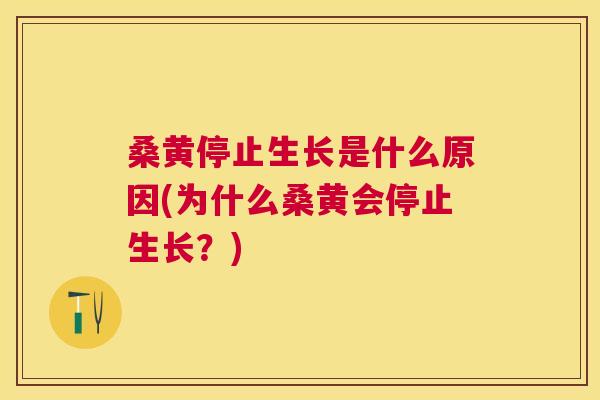 桑黄停止生长是什么原因(为什么桑黄会停止生长?) 桑黄停止生长是什么原因(为什么桑黄会停止生长?)