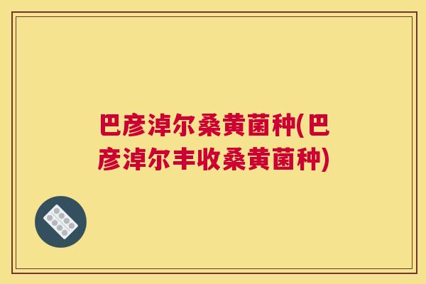 巴彦淖尔桑黄菌种(巴彦淖尔丰收桑黄菌种) 巴彦淖尔桑黄菌种(巴彦淖尔丰收桑黄菌种)