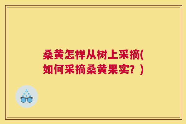 桑黄怎样从树上采摘(如何采摘桑黄果实?) 桑黄怎样从树上采摘(如何采摘桑黄果实?)