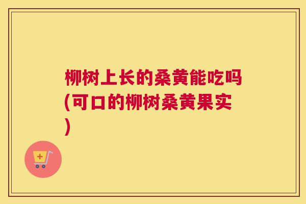 柳树上长的桑黄能吃吗(可口的柳树桑黄果实) 柳树上长的桑黄能吃吗(可口的柳树桑黄果实)