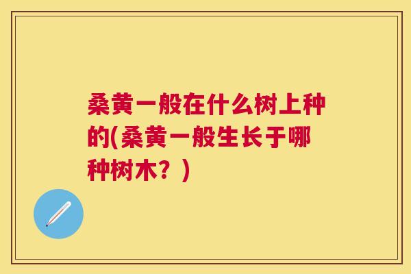 桑黄一般在什么树上种的(桑黄一般生长于哪种树木?) 桑黄一般在什么树上种的(桑黄一般生长于哪种树木?)
