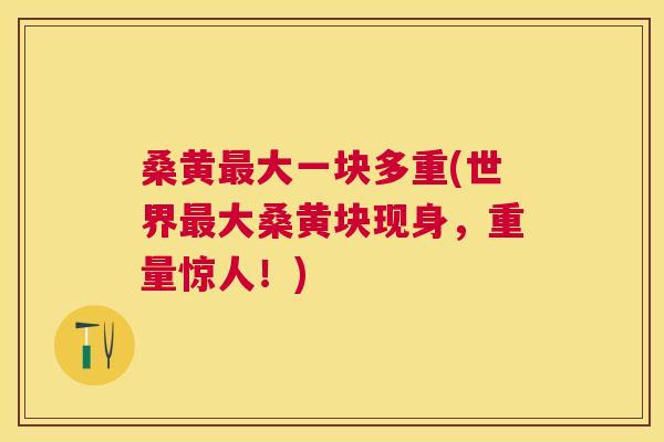 桑黄大一块多重(世界大桑黄块现身,重量惊人!) 桑黄大一块多重(世界大桑黄块现身,重量惊人!)