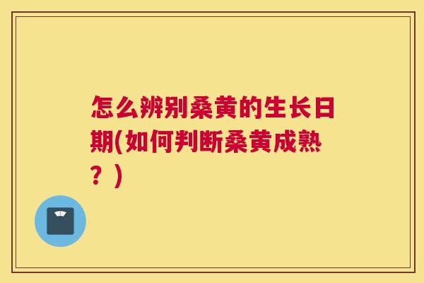 怎么辨别桑黄的生长日期(如何判断桑黄成熟?) 怎么辨别桑黄的生长日期(如何判断桑黄成熟?)
