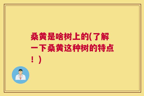 桑黄是啥树上的(了解一下桑黄这种树的特点!) 桑黄是啥树上的(了解一下桑黄这种树的特点!)