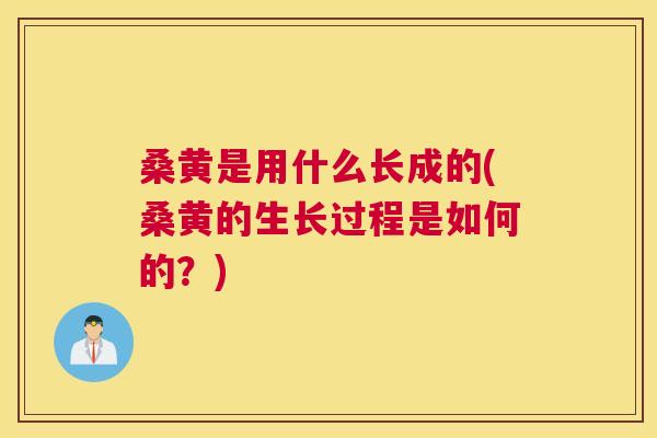 桑黄是用什么长成的(桑黄的生长过程是如何的？)